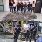 Cardique y Policía de Carabineros lideran operativo interinstitucional que permitió recuperar 63 aves silvestres mantenidas ilegalmente en cautiverio